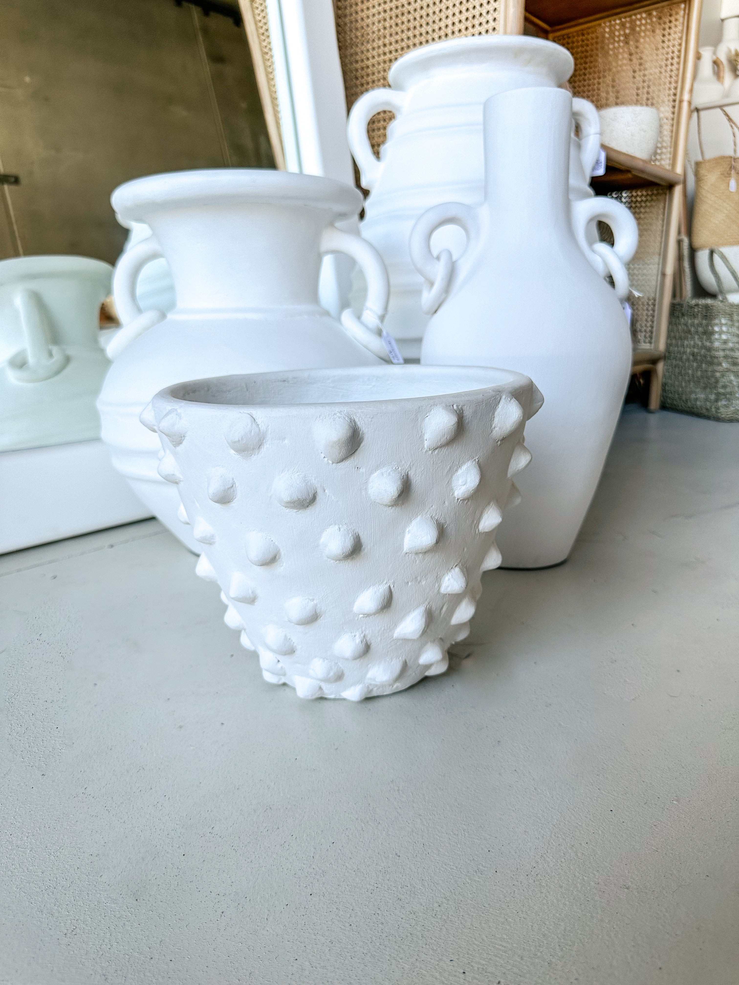 Cactus Pot
