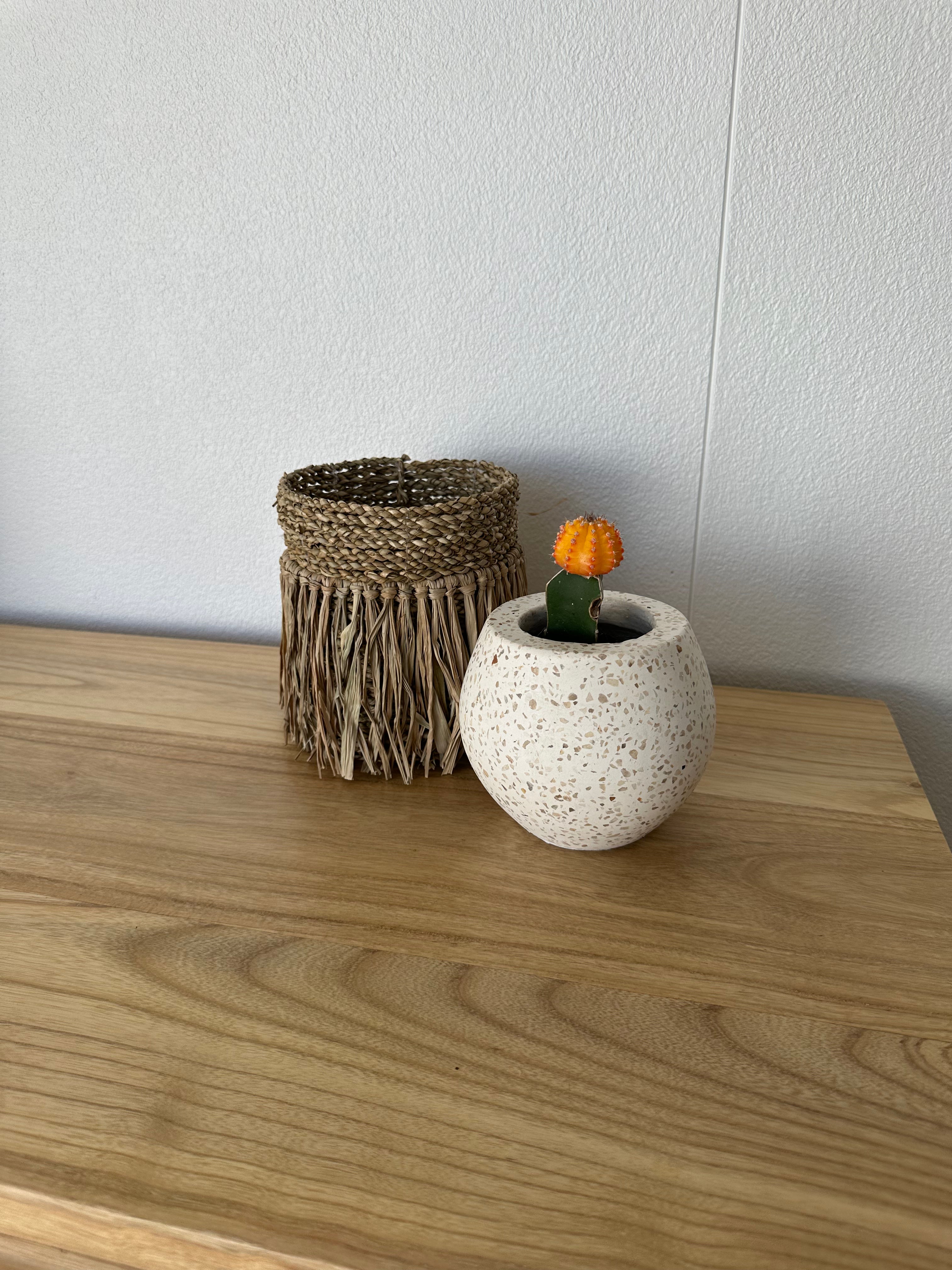 Siena Terrazzo Pot | 12cm