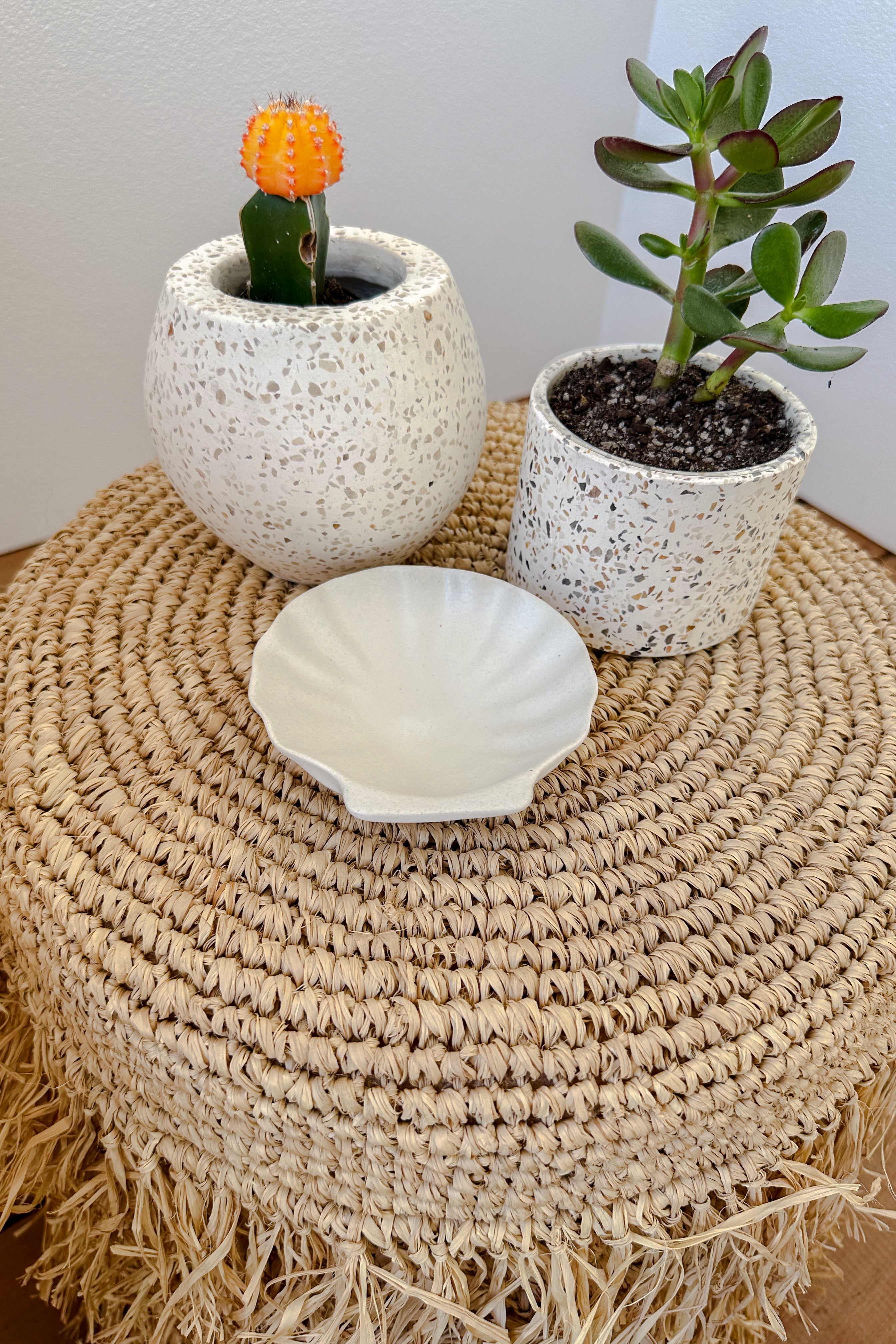 Ravenna Terrazzo Pot | 8cm