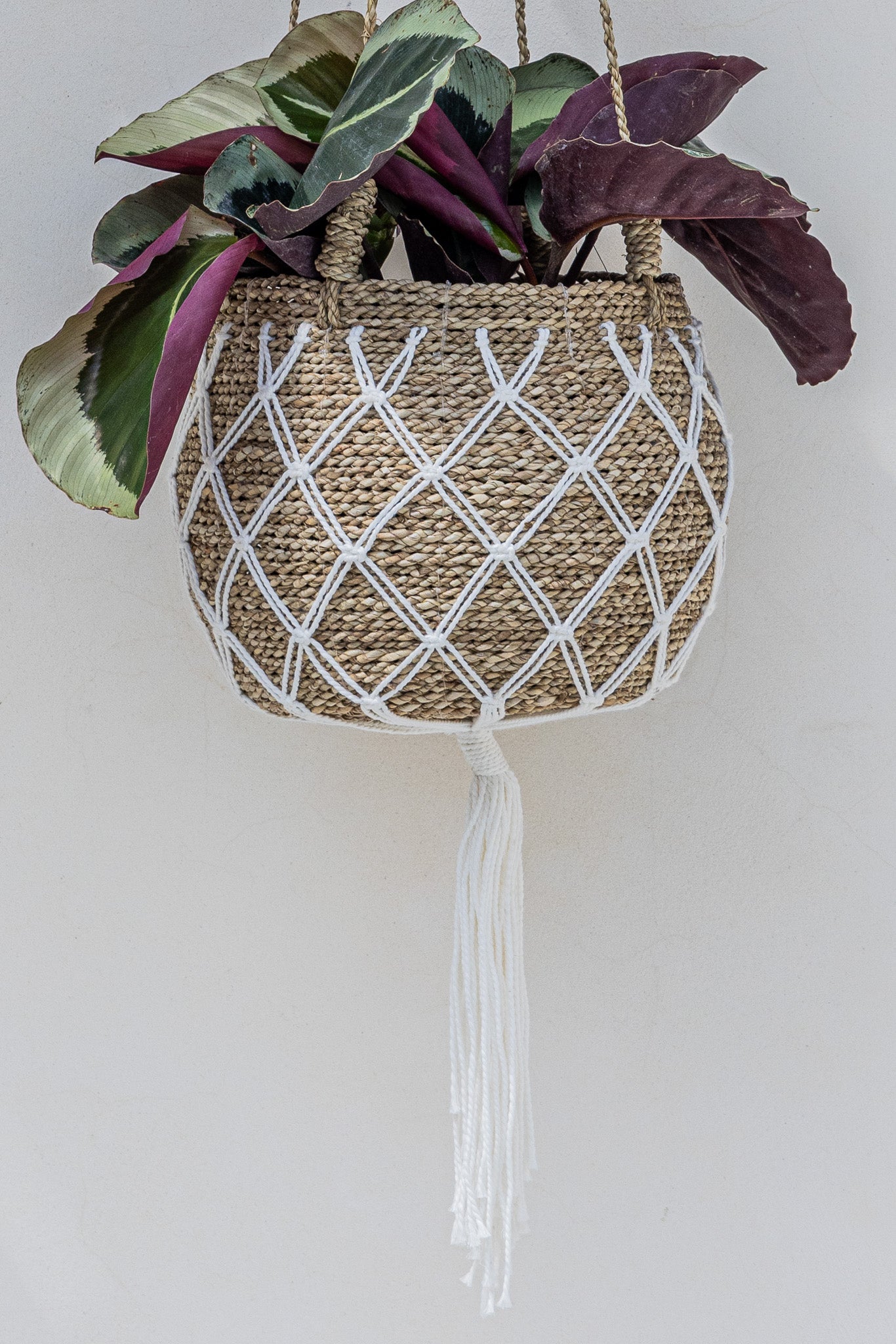 Breezy Hanging Basket
