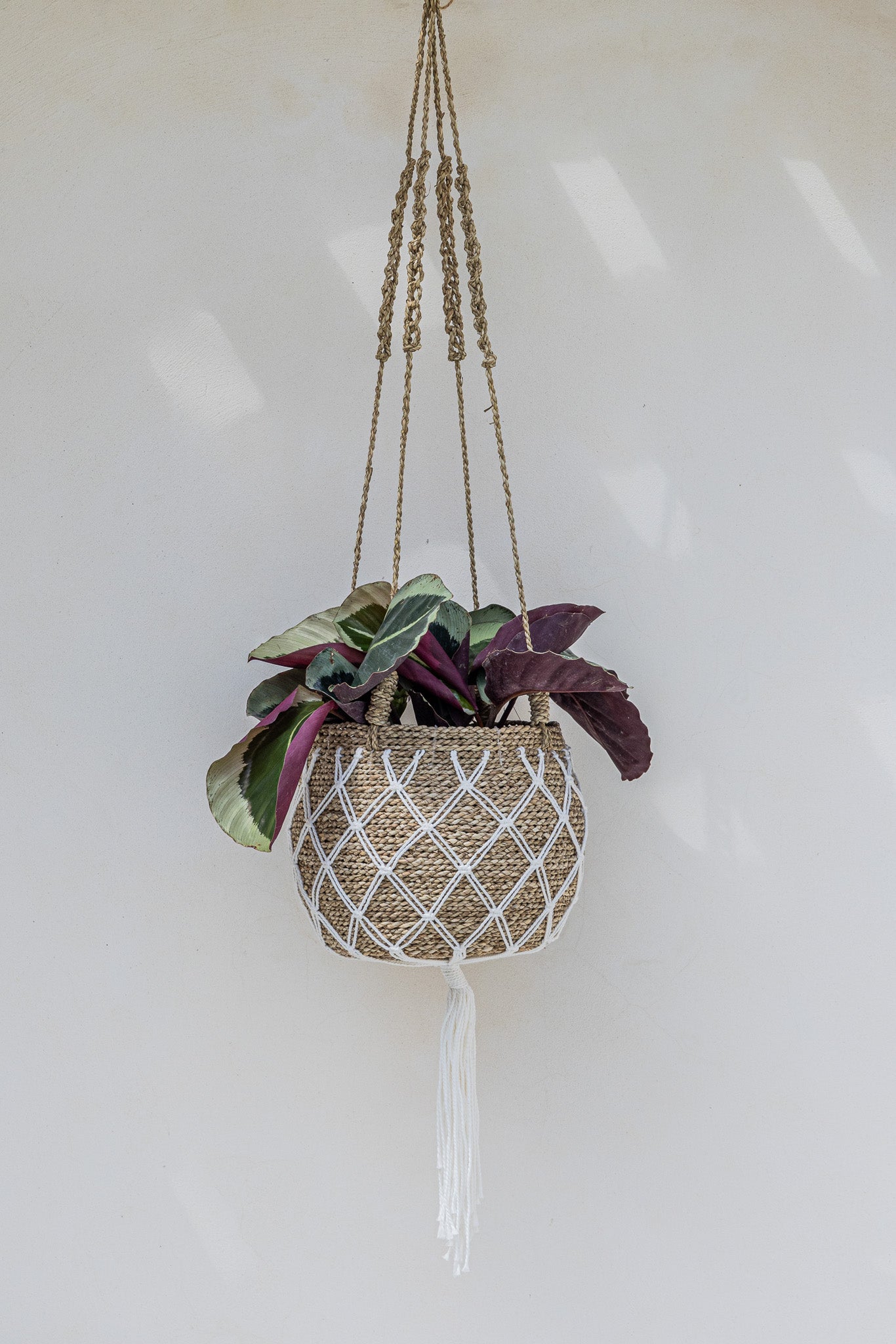 Breezy Hanging Basket