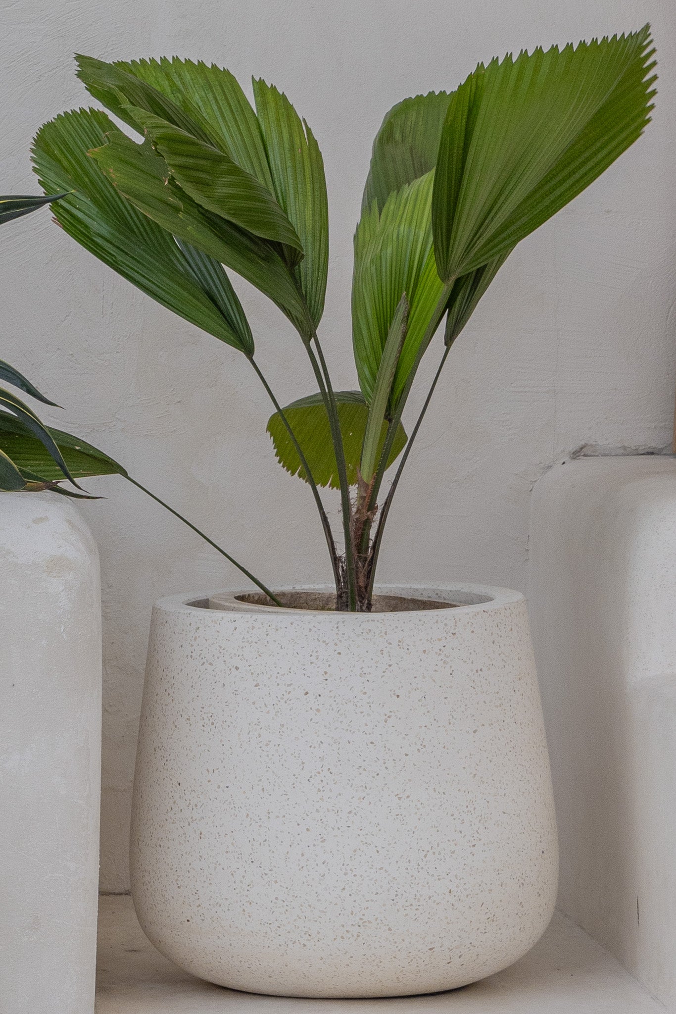 Wide Terrazzo Pot | 40cm