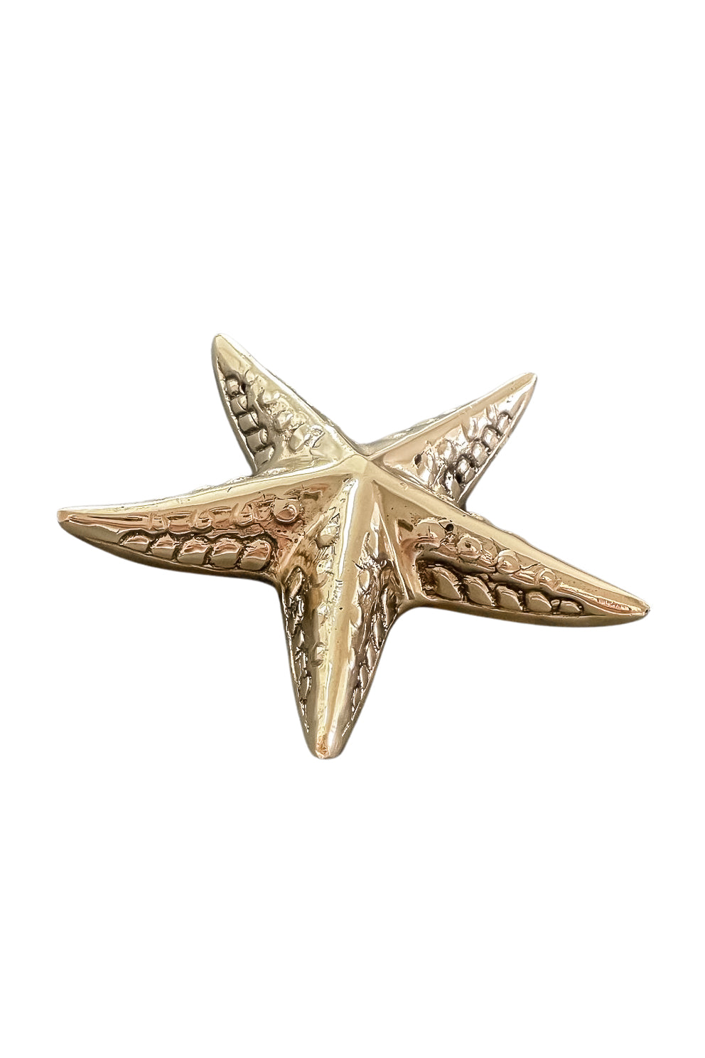 Starfish Brass Ornament